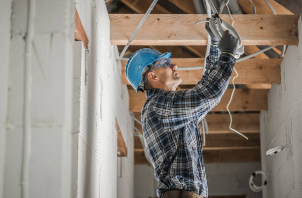 Best Electrical Upgrades for Homes  in Escobares, TX