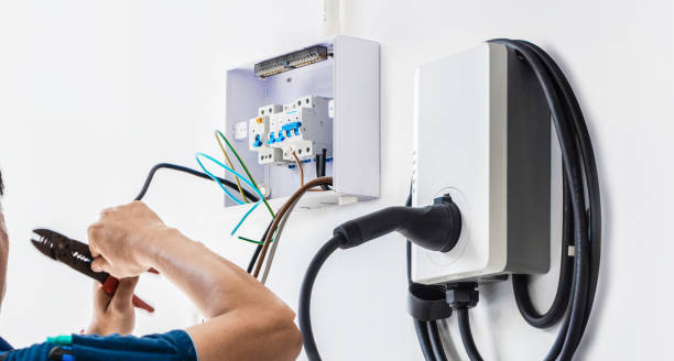 Best Electric Panel Repair  in Escobares, TX