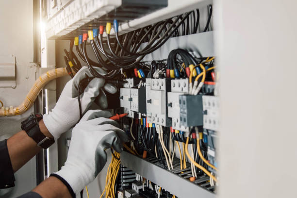 Best Local Electrician Companies  in Escobares, TX