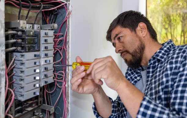 Best Electrical Rewiring Services  in Escobares, TX